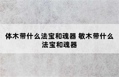 体木带什么法宝和魂器 敏木带什么法宝和魂器